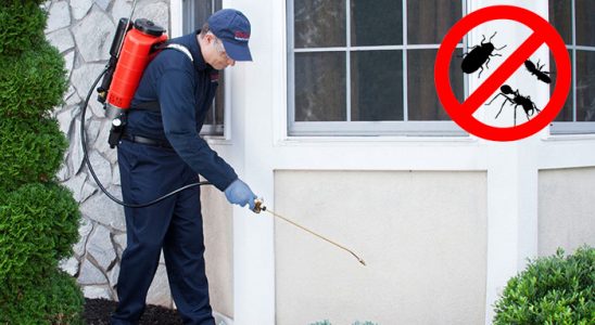 Akçakoca Gümüşkurt İlaçlama böcek ilaçlama ve haşere kontrolü — ilaclama-tr.com